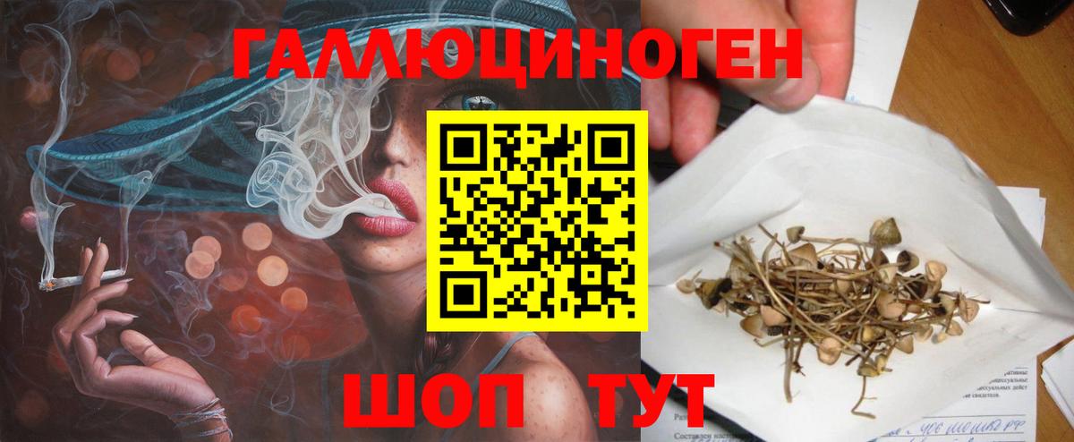 Псилоцибиновые грибы Psilocybine cubensis  Вход с VPN  Красноармейск 
