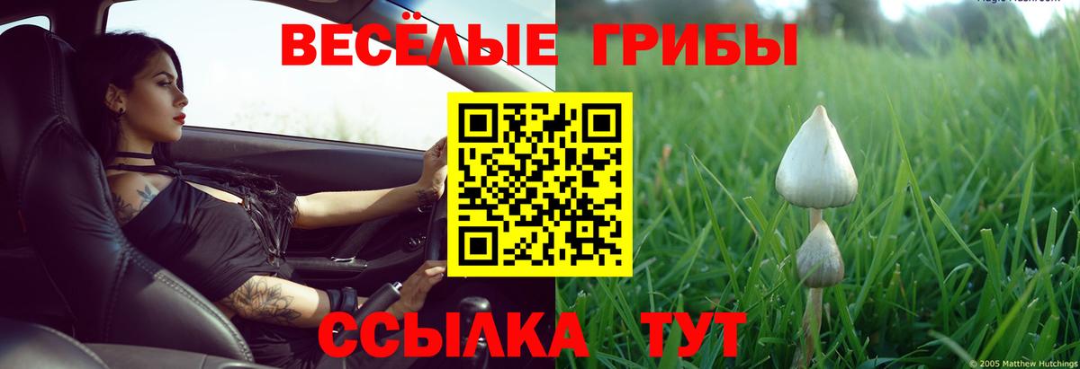 Галлюциногенные грибы GOLDEN TEACHER Красноармейск